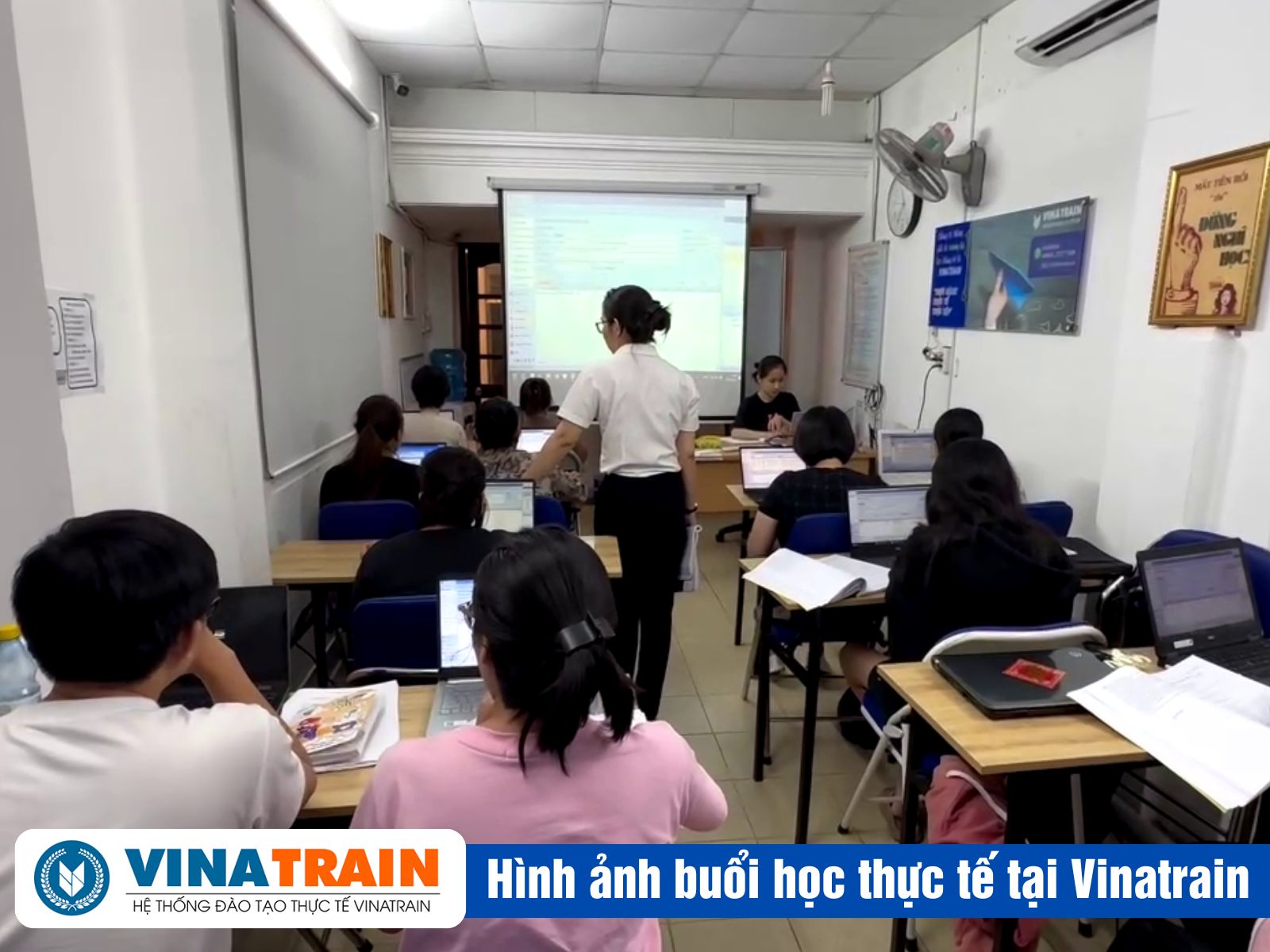 Lộ Trình Học KHAI BÁO HẢI QUAN