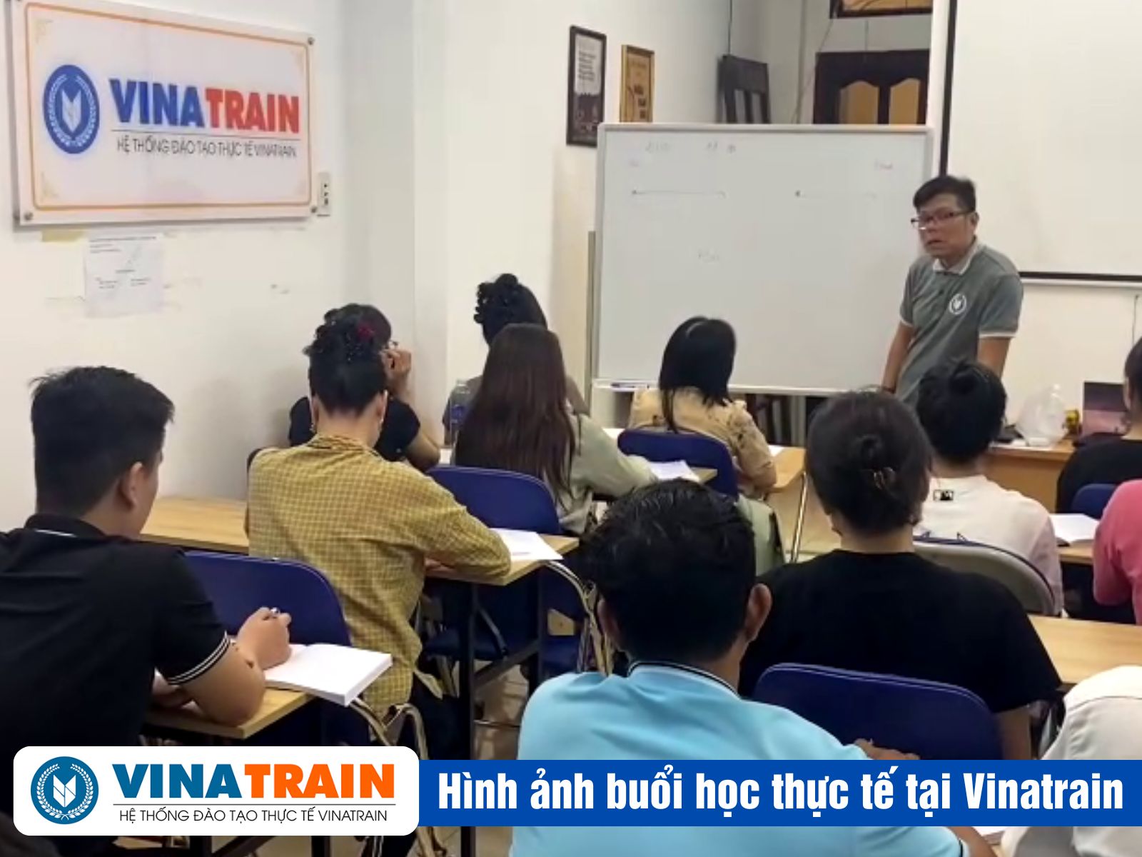 Lộ Trình Học KHAI BÁO HẢI QUAN