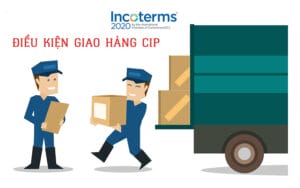 Điều Kiện CIP INCOTERMS 2020 Là Gì Trong Xuất Nhập Khẩu & Logistics